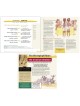 A Night To Remember Haggadah | Passover | Judaica